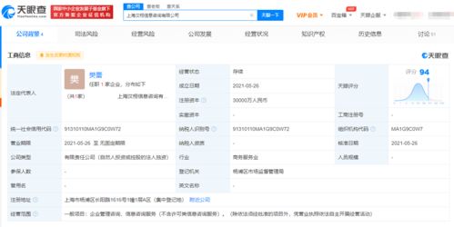美团新设信息咨询公司 三亿资本背后的战略布局与行业影响